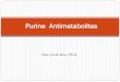 Purine antimetabolitescontents.kocw.net/KOCW/document/2014/Pusan/kimnamdeuk/18.pdf · 2016-09-09 · trigger programmed cell death by mismatch repair pathway 2) methylation ; antiproliferative