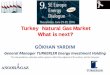 Turkey Natural Gas Market What is next? - IENE · completed. It has 1 bcm storage capacity at this moment but there are some projects in order to increase the storage capacity. •