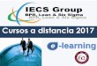 Cursos a distancia 2017 - files.iecsgroup.comfiles.iecsgroup.com/200007455-bc84dbd7ed/Programa a distancia 2017... · Análisis Causa-Efecto (a.k.a. Fishbone, Ishikawa) Asegurando