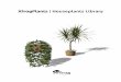 XfrogPlants | Houseplants Library · XfrogPlants HOUSEPLANTS Contents : 60 3D Models in each of XFR, Maya, 3ds Max, ... the Fishbone Fern is a tropical and cold-sensitive fern, that