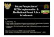 FtFuture PtiP erspective of REDD+ The Forest Policy in · Terrestrial carbon stocks ; Flora, Fauna & ecosystem. ... • Dai Nippon Jepang(1942‐1945) Dient van het Boschwezen become