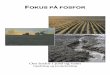 FOKUS PÅ FOSFOR - viken.nlr.noviken.nlr.no/media/ring/1212/Siri/Vestfold Forsøksring - Fokus på fosfor.pdf · redusert med 26,9 % for nitrogen og 38,5 % for fosfor. Endret jordarbeiding