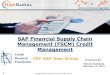 SAP Financial Supply Chain Management (FSCM) Credit … · UKM_BP) = Credit Master Data = FD32 A Business Partner can have many roles For example (Credit Mgmt, Collections Mgmt etc)