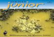 Nr.3/September2005 ORNIS junior - birdlife.ch · 6 thema VonBlütezu Blüte BeieinigermassenschönemWetterimFrühling,Som-merundHerbstfliegendieSammlerinnentäglich aus,umBlütenstaubundNektarzusammeln.Kommen