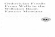 Ordovician Fossils From Wells in the . Williston Basin ... · Ordovician Fossils From Wells in the . Williston Basin Eastern Montana GEOLOGICAL SURVEY BULLETIN 1021-MCited by: 22Publish