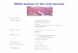 Traumatic - clinicaljude.yolasite.comclinicaljude.yolasite.com/resources/White lesions of oral mucosa.pdf · Follicular Keratosis Leukoedema Traumatic Mechanical (Frictional Keratosis)