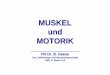 MUSKEL und MOTORIK - Goethe-Universität · 1) Einführung, Überblick, Muskeltypen 2) Elektromechanische Kopplung (Skelettmuskulatur) 3) Das Skelettmuskelsystem: Spinale Kontrolle
