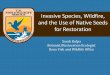 Invasive Species, Wildfire, and the Use of Native Seeds ... · Sarah Kulpa Botanist/Restoration Ecologist Reno Fish and Wildlife Office Invasive Species, Wildfire, and the Use of