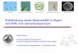 Entdeckung neuer Naturstoffe in Algen mit Hilfe von ... neuer Naturstoffe in Algen_Prof. Sasso.pdf · -> bisher keine Polyketide aus diesen Algen bekannt aktualisiert aus S. Sasso