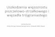 Uszkodzenia więzozrostu piszczelowo-strzałkowego i ...pfas.pl/wp-content/uploads/2016/12/Prezentacja-Boszczyk.pdf · Uszkodzenia więzozrostu piszczelowo-strzałkowego i więzadła