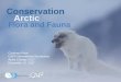 Conservation Arctic Flora and Fauna · Conservation of Arctic Flora and Fauna (CAFF) • Biodiversity Working Group of the Arctic Council • Board members from eight Arctic countries