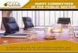 AUDIT COMMITTEES IN THE PUBLIC SECTOR - ICPAK · audit committees in the public sector a survey report on the establishment and effectiveness of audit commitees in kenya