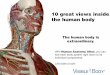 10 great views inside the human body - IMUi-lib.imu.edu.my/NewPortal/images/NewPortal/CompE-Books/...112513.pdf · 10 great views inside the human body. The axilla region (underarm)