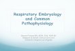 Respiratory Embryology and Common Pathophys Certification Review...Respiratory Embryology and Common Pathophysiology Sharon Fichera RN, MSN, CNS, NNP -BC . Newborn & Infant Critical