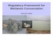Reggyulatory Framework for Wetlands Conservationwgbis.ces.iisc.ernet.in/energy/lake2009/workshop/wetlandpolicy.pdf · Introduction Many wetlands are seriously threatened by reclamation