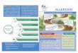 Was ist eine Allergie? Allergien in Europa - eaaci.org · oder allergische Rhinitis) 70 Millionen Europäer leiden an Asthma 17 Millionen Europäer leben mit Nahrungsmittelallergien