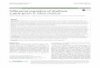 Differential regulation of riboflavin supply genes in ... · Cisternas et al. Gut Pathog DOI 10.1186/s13099-017-0159-z RESEARCH Differential regulation of riboflavin supply genes