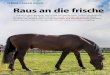 Pferde Praxis haLtung Raus an die frische Luft · Pferdes, mit der richtigen Betreuung, dem Stallmanagement, den Haltungsbedingun-gen im Stall und auf der Weide, mit Fragen des Stallbaus