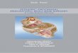 PEDIATRIC ENDONASAL ENDOSCOPIC SKULL BASE SURGERY - … · Pediatric endonasal endoscoPic skull Base surgery a case-Based Manual Harminder singH, Md1 Jeffrey P. greenField, Md, Phd2