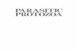 PARASITIC PROTOZOA - rd.springer.com978-94-011-6847-2/1.pdf · Preface It is now 17 years since the junior author's book Parasitic protozoa was first published, and 13 years since