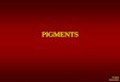 PIGMENTS - zona.fmed.uniba.sk · Endogenous pigments Autogenic pigments Melanin –corpuscular pigment - formed in melanosome (organelle), ...oculocutaneous melanin melanocytes derived