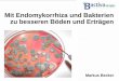 Mit Endomykorrhiza und Bakterien zu besseren Böden und ... · Mit Endomykorrhiza und Bakterien zu besseren Böden und Erträgen Markus Becker
