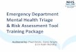 Emergency Department Mental Health Triage Assessment Tool · Emergency Department. Mental Health Triage & Risk Assessment Tool Training Package. Authored by: Paul Devlin, Gerry Wright