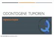ODONTOGENE TUMOREN - semmelweis.husemmelweis.hu/patologia1/files/2018/05/DE_Odontogene-Tumoren-RH.pdf · Enamel. URSPRUNG ODONTOGENE TUMOREN Epitheliale Zellen •Plattenepithel der