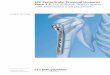 LCP Periarticular Proximal Humerus Plate 3.5. The anatomic ... Mobile/Synthes International...  LCP