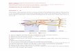 Peripheral Nerves and Plexus. Questions. Questions 1 – 12neuro.kiev.ua/wp-content/uploads/peripheral_EANS_tests_en.pdf · 10. Innervates the interossei muscles. 11. Supplies sensation
