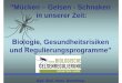 Mücken – Gelsen - Schnaken in unserer Zeit: Biologie ...mta-gelsen.at/wp-content/uploads/2014/05/Praesentation_Gelsenprojekt_2014.pdf · „Hämorrhagisches Denguefieber“ oder