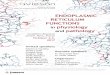ENDOPLASMIC RETICULUM FUNCTIONS physiology pathology .ENDOPLASMIC RETICULUM FUNCTIONS in physiology