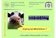 UNIVERSITÄT HOHENHEIM TIERÄRZTLICHE HOCHSCHULE · PDF fileDoping bei Milchkühen? Sekundäre Pflanzenstoffe im Futter - Präsentation vom 5. Juli 2007 Sekundäre Pflanzenstoffe im