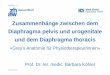 Zusammenhänge zwischen dem Diaphragma pelvis und ... · Diaphragma pelvis und urogenitale und dem Diaphragma thoracis «Grey’s Anatomie für Physiotherapeut/innen» Prof. Dr. rer