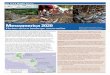 Mesoamerica 2020 - Organization of American States 2020 fact sheet2.pdf · U.S. Fish & Wildlife Service Priority Landscapes for Mesoamerica 2020 Partnership Maya Forest: Stretching