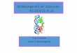 Molekulargenetik der Eukaryoten WS 2014/15, VL 13molgen.biologie.uni-mainz.de/Downloads/PDFs/Molekulargenetik der Eukaryoten... · Autokatalytisches Splicing Ribozyme Beim autokatalytischen