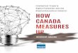 Intellectual Property Rights Protection and the ... · ii / Intellectual Property Rights Protection and the Biopharmaceutical Industry: How Canada Measures Up ity for biopharmaceutical