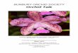 BUNBURY ORCHID SOCIETY Orchid Talk - Amazon S3 talk/2017... · Hi all, just a short note about the growing conditions for this plant, Cattleya Lulu 'Hot Pink' is one of many different