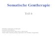 Somatische Gentherapie - TU Dortmund Bio-Engineering/Pharmaceutical... · Somatische Gentherapie Teil 6 Definition Somatische Gentherapie Genetische Krankheiten Virale Transfersysteme