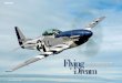 Mustang-Training bei Stallion 51 Flying - fliegermagazin.de · tang bis zum Checkout, Unusal Attitude Training (Recovern aus ungewöhnlichen Fluglagen wie REPORTAGE Trudeln und Stalls)