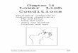 Chapter 14 Lower Limb Conditions - bostonoandp.com · Lower Limb Conditions 509 Infection Soft tissue Bone Joint Arthritis Degenerative (primary or secondary oste-oarthritis) Autoimmune