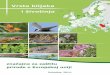 Vrste biljaka i životinja - protego.rs · U suštini, direktive o prirodi i Natura 2000 mreža predstavljaju primenu Bernske konvencije unutar zemalja članica Evropske unije. Srbija