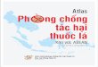 Atlas Ph ng chống tác hại - seatca.org Vietnam version reduced.pdf · tại thời điểm xuất bản, Liên minh phòng chống tác hại thuốc lá khu vực Đông Nam