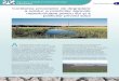 Corelarea proceselor de degradare a solului, a practicilor ... Fact Sheet.pdf · PDF filesolului, poluarea apei, solului şi a aerului, fragmentarea habitatelor şi distrugerea faunei
