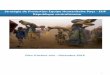 Strategie de Protection EHP - globalprotectioncluster.org · 2 Stratégie de protection Equipe Humanitaire Pays - EHP République centrafricaine Plan d’action Juin - Décembre 2016