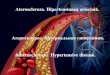 Атеросклероз. Aртериальная гипертония. Ateroscleroza... · Tema: Ateroscleroza. Hipertensiunea arterială. I. Micropreparate: №155. Aterosclerozăcoronariană