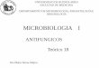 MICROBIOLOGIA I - fmed.uba.ar 18.pdf · universidad de buenos aires facultad de medicina departamento de microbiologÍa, parasitologÍa e inmunologÍa microbiologia i dra maria teresa