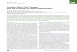 Cell Stem Cell Stem Cell Therapy and the...¢  Cell Stem Cell Perspective Cardiac Stem Cell Therapy and