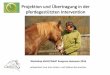 Projektion und Übertragung in der pferdegestützten ... · Projektion und Übertragung in der pferdegestützten Intervention Workshop ESAAT/ISAAT Kongress Hannover 2016 präsentiert