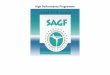 High Performance Programme - sagf.co.za · • Place hands in front on beam, swing legs backward clear support, land feet under, legs straight behind, feet together, hips down, head